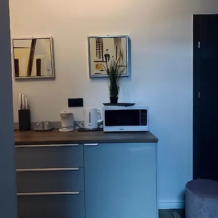 Apartament Przyjemne W Sercu Poznania *